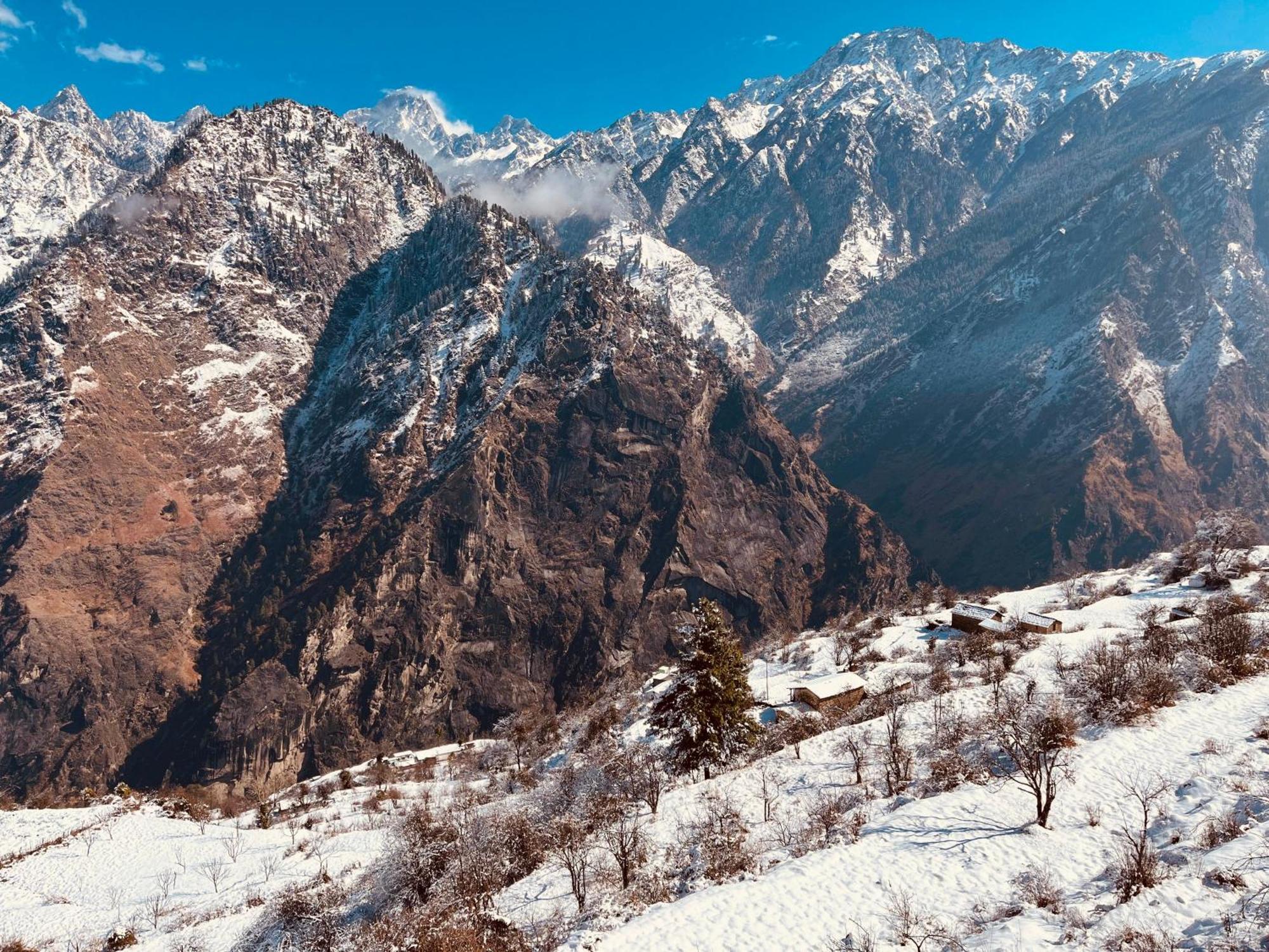 Faraway Cottages, Auli Joshimath Bagian luar foto