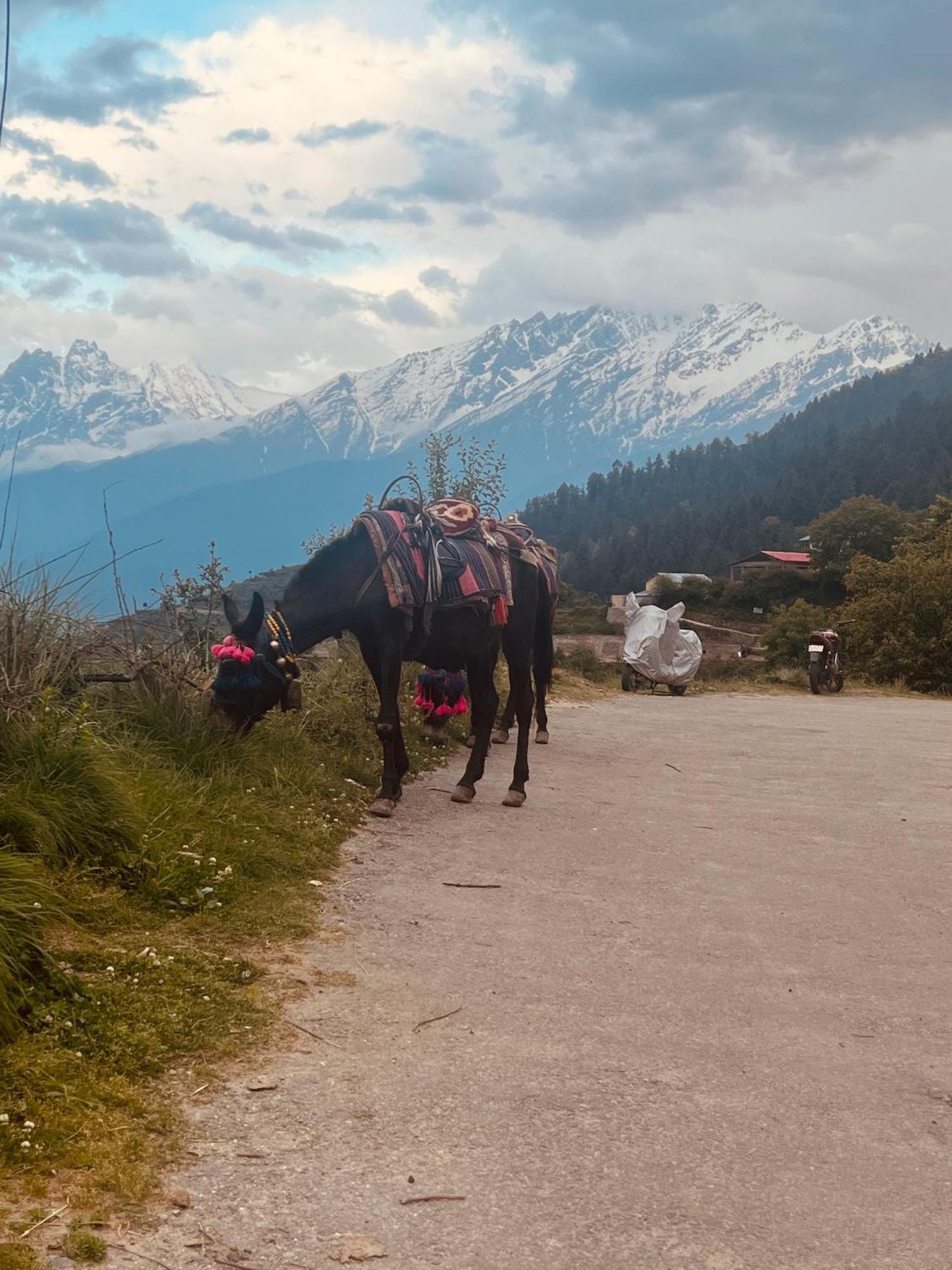 Faraway Cottages, Auli Joshimath Bagian luar foto