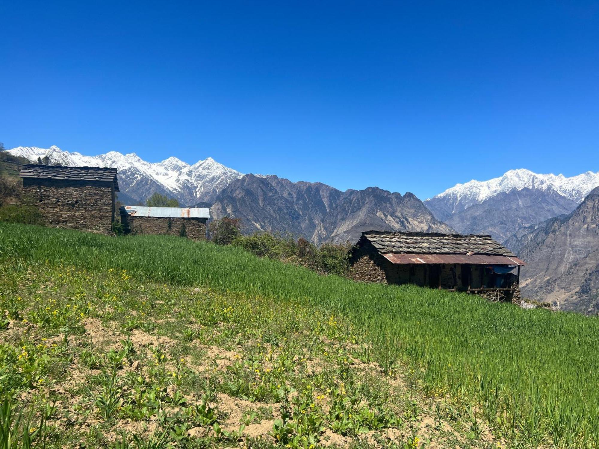 Faraway Cottages, Auli Joshimath Bagian luar foto