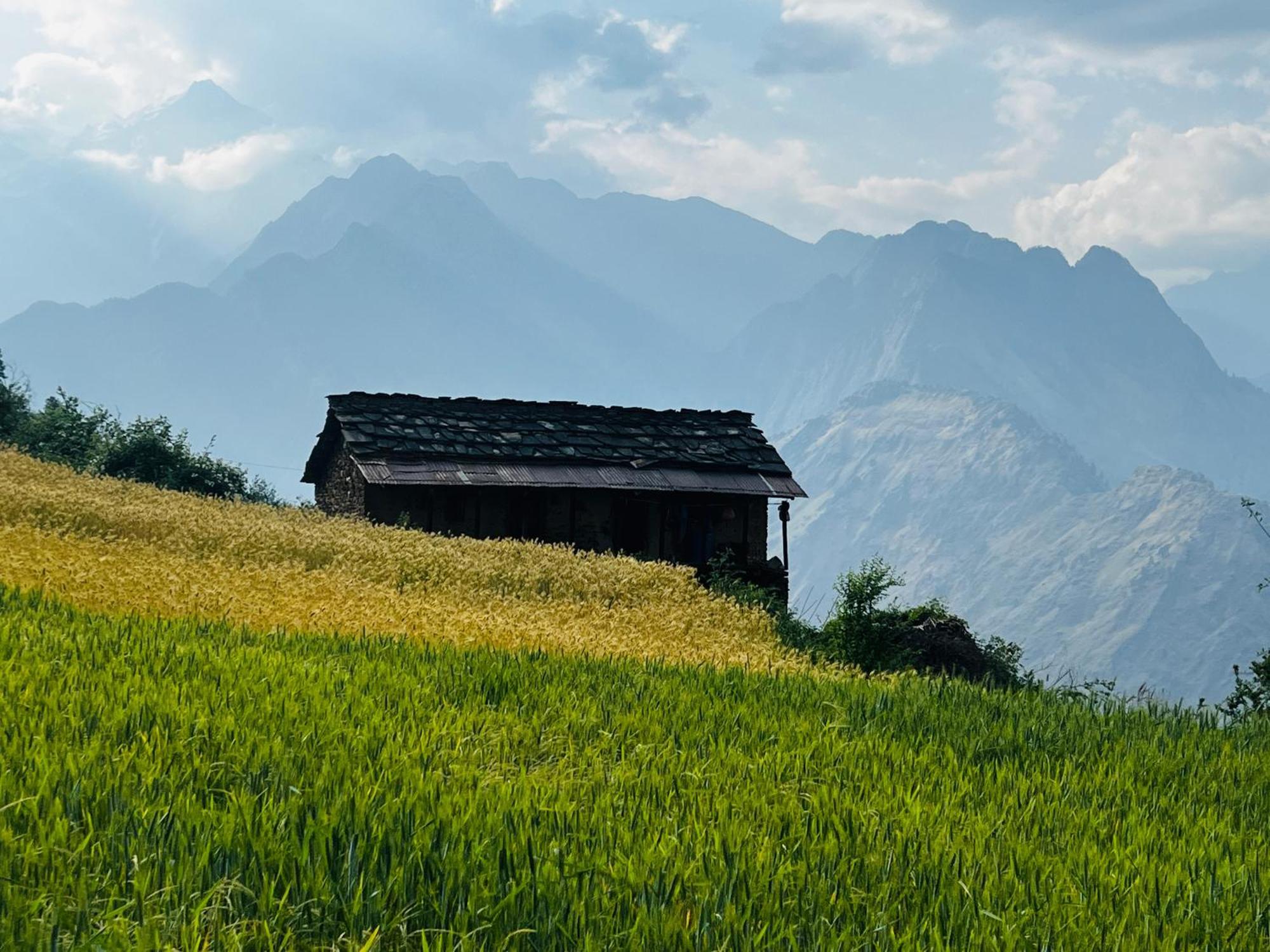 Faraway Cottages, Auli Joshimath Bagian luar foto